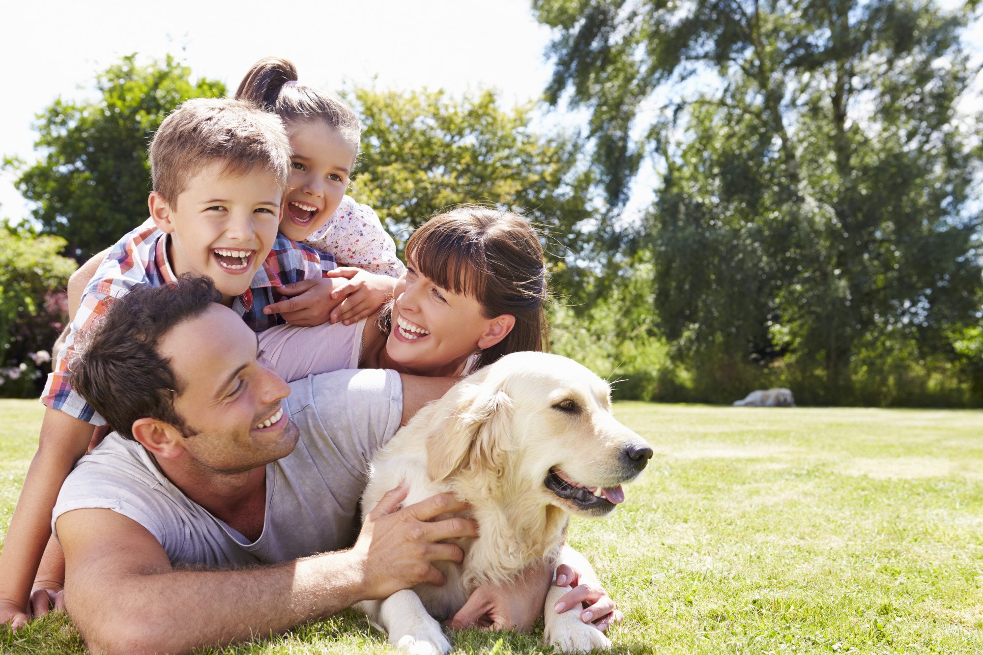 4 Common Guidelines for Pets in a Community in Phoenix, Arizona